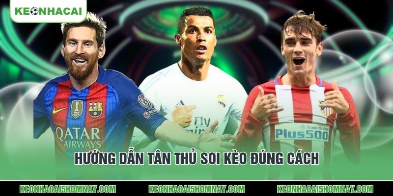 Hướng dẫn tân thủ soi kèo đúng cách