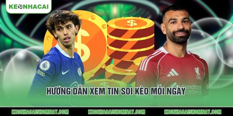 Hướng dẫn xem tin soi kèo mỗi ngày