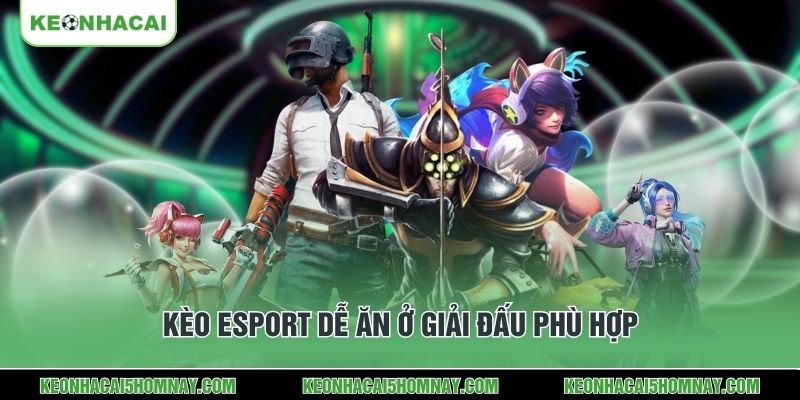 Kèo Esport dễ ăn ở giải đấu phù hợp