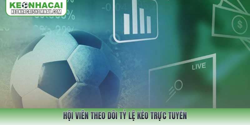 Hội viên theo dõi tỷ lệ kèo trực tuyến